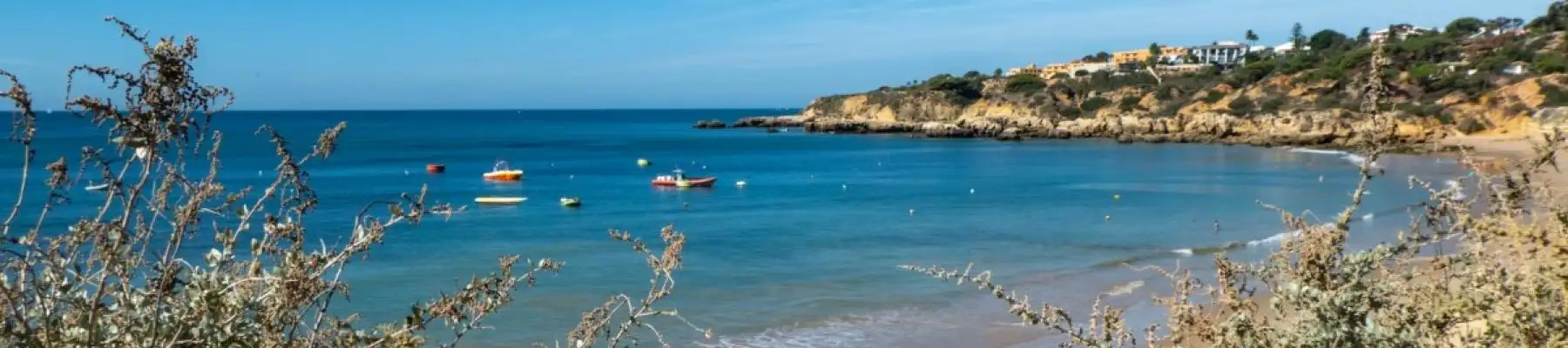 AFPOP - Portugal Foreign Residents Association