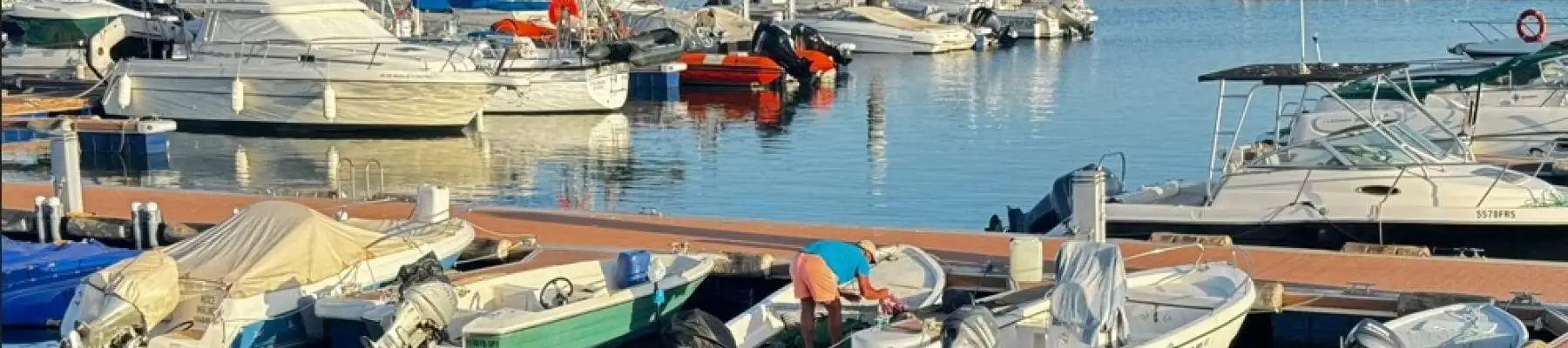 AFPOP - Portugal Foreign Residents Association